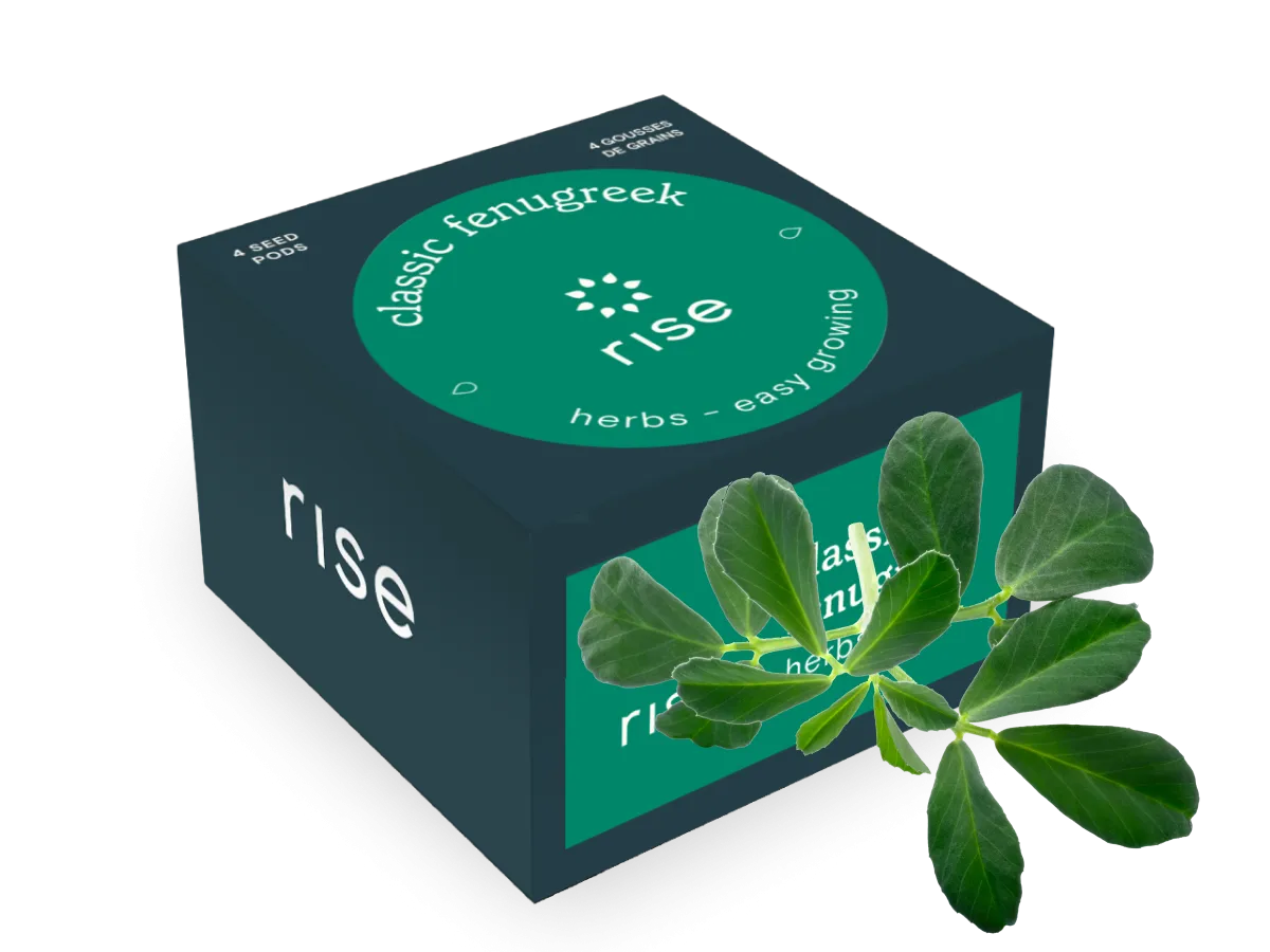 Classic Fenugreek